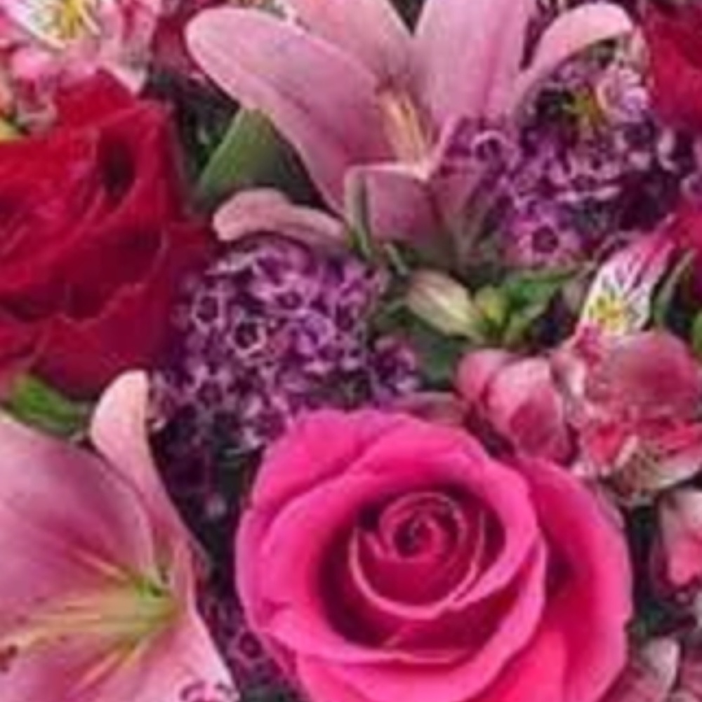 Meet your Posher, Nancy